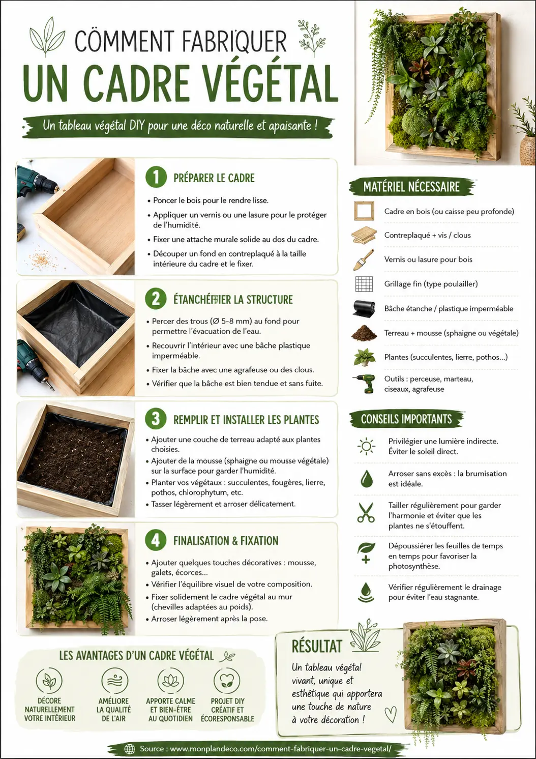 Comment fabriquer un cadre végétal facilement à la maison - Infographie